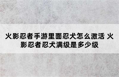 火影忍者手游里面忍犬怎么激活 火影忍者忍犬满级是多少级